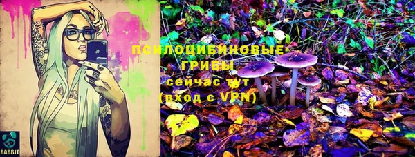 винт Арсеньев